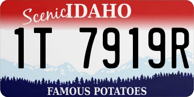 ID license plate 1T7919R
