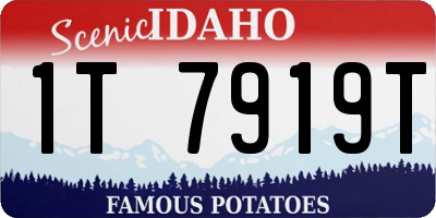 ID license plate 1T7919T