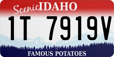 ID license plate 1T7919V