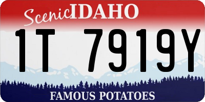 ID license plate 1T7919Y