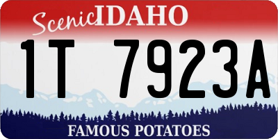 ID license plate 1T7923A