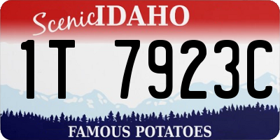 ID license plate 1T7923C