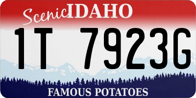 ID license plate 1T7923G