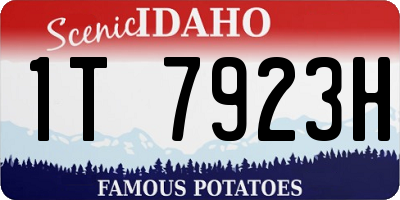 ID license plate 1T7923H