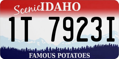ID license plate 1T7923I