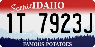 ID license plate 1T7923J