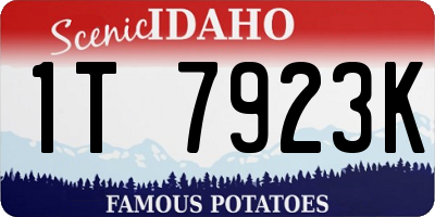 ID license plate 1T7923K