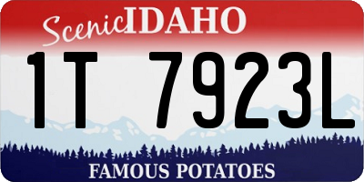 ID license plate 1T7923L