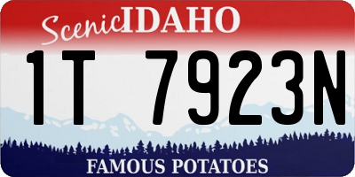 ID license plate 1T7923N