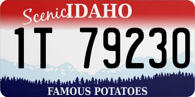 ID license plate 1T7923O