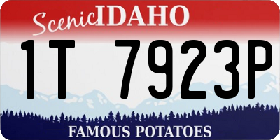 ID license plate 1T7923P