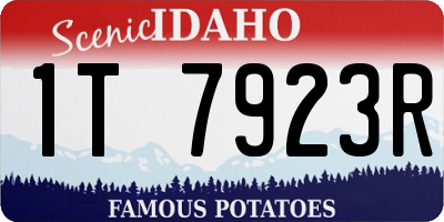 ID license plate 1T7923R