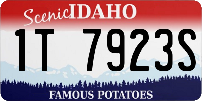 ID license plate 1T7923S