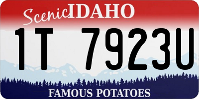 ID license plate 1T7923U