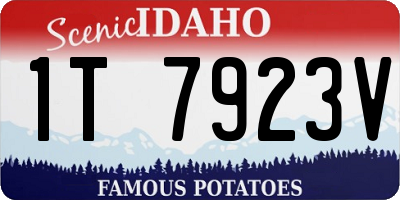 ID license plate 1T7923V