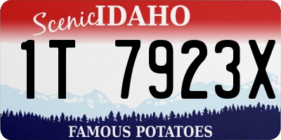 ID license plate 1T7923X