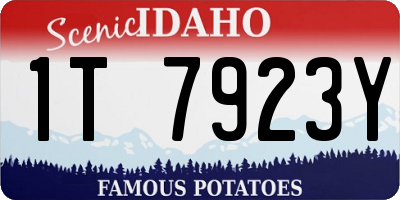 ID license plate 1T7923Y