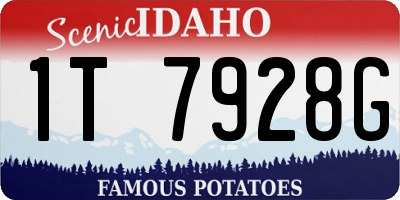 ID license plate 1T7928G