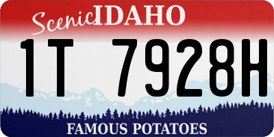 ID license plate 1T7928H