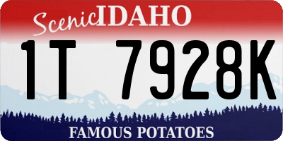 ID license plate 1T7928K