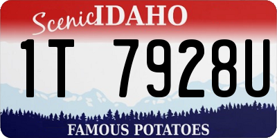 ID license plate 1T7928U