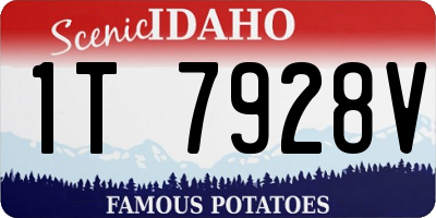 ID license plate 1T7928V