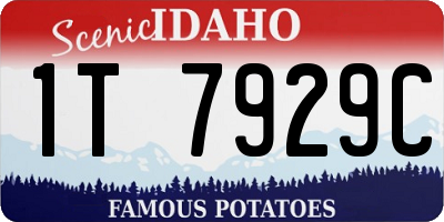 ID license plate 1T7929C