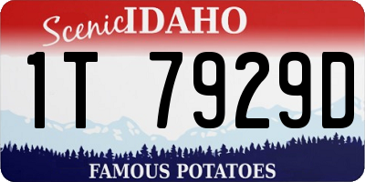 ID license plate 1T7929D