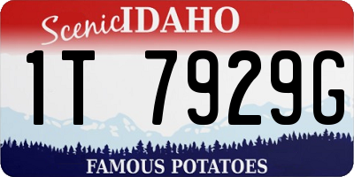 ID license plate 1T7929G