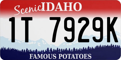 ID license plate 1T7929K