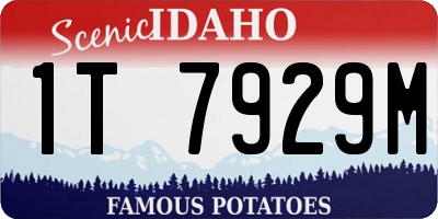 ID license plate 1T7929M