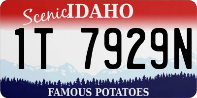 ID license plate 1T7929N