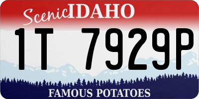 ID license plate 1T7929P