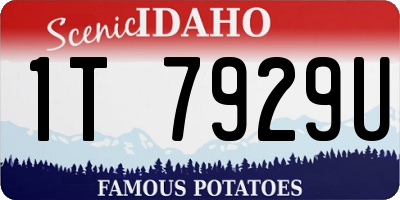 ID license plate 1T7929U