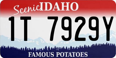 ID license plate 1T7929Y