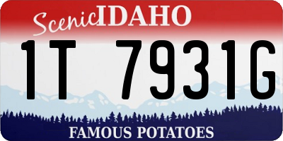 ID license plate 1T7931G