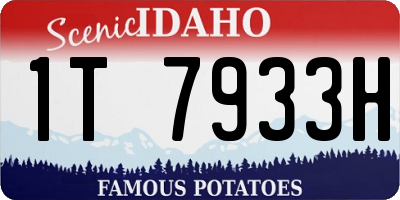 ID license plate 1T7933H
