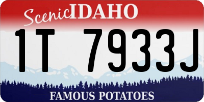 ID license plate 1T7933J