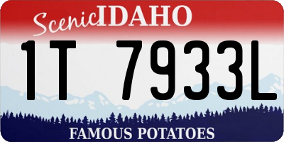ID license plate 1T7933L