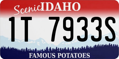 ID license plate 1T7933S