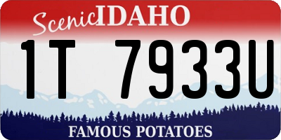 ID license plate 1T7933U