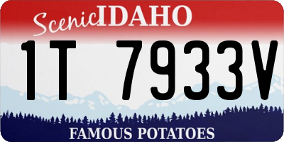 ID license plate 1T7933V