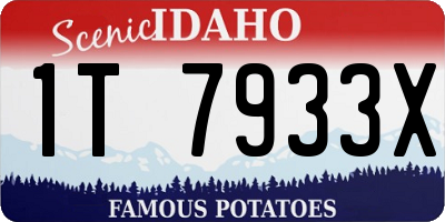 ID license plate 1T7933X