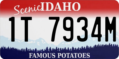 ID license plate 1T7934M