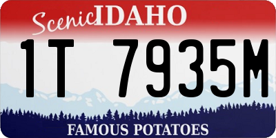 ID license plate 1T7935M