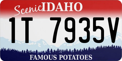 ID license plate 1T7935V