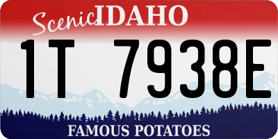 ID license plate 1T7938E
