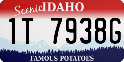 ID license plate 1T7938G
