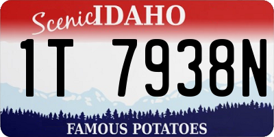 ID license plate 1T7938N