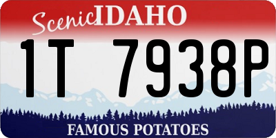 ID license plate 1T7938P